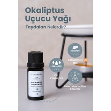 Bade Natural Okaliptus Uçucu Yağı %100 Saf 10 ml