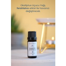 Bade Natural Okaliptus Uçucu Yağı %100 Saf 10 ml