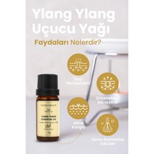 Bade Natural Ylang Ylang Uçucu Yağı %100 Saf 10 ml