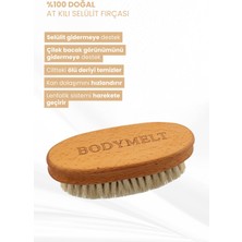 Bodymelt %100 Doğal At Kılı Lenf Drenaj Kuru Vücut Fırçası