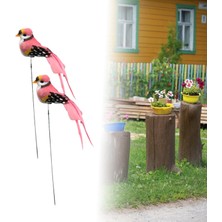 Easra 2 Kuş Kazıkları Gerçekçi Kuş Dekoru Patio Ev (Yurt Dışından)