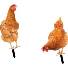 Somodz 2x Tavuk Hayvan Heykeli Kazığı Avlu Bahçe Çim Için Tavuk Heykeli (Yurt Dışından)