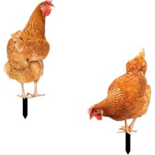 Somodz 2x Tavuk Hayvan Heykeli Kazığı Avlu Bahçe Çim Için Tavuk Heykeli (Yurt Dışından)