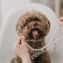 Lovisa Accessories Incili Prenses Tasması, Inci Boncuklu Köpek Tasması