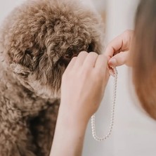 Lovisa Accessories Incili Prenses Tasması, Inci Boncuklu Köpek Tasması