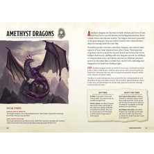 Dragons & Treasures (Dungeons & Dragons): A Young Adventurer's Guide