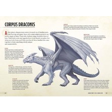 Dragons & Treasures (Dungeons & Dragons): A Young Adventurer's Guide