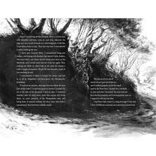 The Ocean At The End Of The Lane (Illustrated Edition)