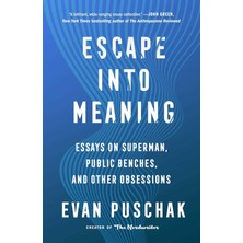 Escape Into Meaning: Essays On Superman, Public Benches, And Other Obsessions