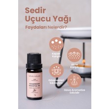 Bade Natural Sedir Ağacı Uçucu Yağı %100 Saf 10 ml