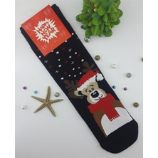 Moda Socks Yılbaşı Hediyelik Çorap