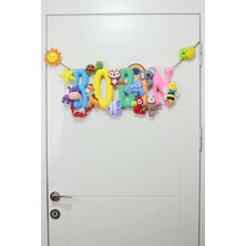 Renkli Hayallerim Robin Isimli Bebek ve Hastane Odası Kapı Süsü