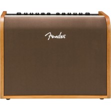 Fender Acoustic 100 Uk Akustik Gitar Amfisi