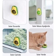 Petürkiye Avakado Kedi Naneli Catnip Yalama Oyun Topu