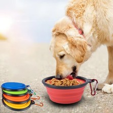 Petürkiye Katlanabilir Kedi Köpek Mama ve Su Kabı 350 ml