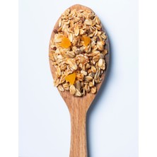 GOOD FOOD SİNBİYOTİK  GRANOLA  KAYISI 400 gr