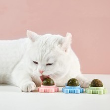 Petürkiye Yengeç Kedi Otu Oyun Topu