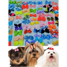 Köpek Toka Karışık 10 Adet - Lüks Taşlı Fiyonk Aksesuar Lastikli Toka