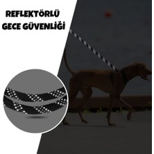 Petürkiye Reflektörlü Köpek Tasması 130 cm