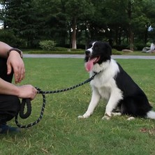 Petürkiye Reflektörlü Köpek Tasması 130 cm