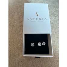 Asteria Jewelry Gümüş Mess Yeni Sezon Zirkon Taşlı Küpe