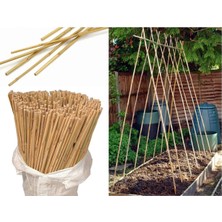 75 Adet Fidan Destek Çubuğu Boy 250 Cm,kalınlık 4-5 cm