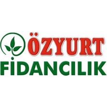 Saksılı Macar Vişne Fidanı 7 Yaş Boy : 200-250 cm