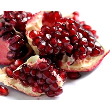 2 Yaş Tatlı Nar Fidanı 90-110 cm