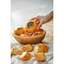 Tüplü Aşılı Trabzon Hurması Rojo Brillante Fidanı 3 Yaş