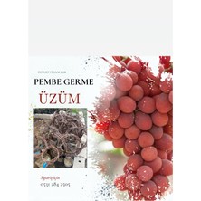 Tüplü Pembe Germe Üzüm Fidanı 4 Yaş 5-7