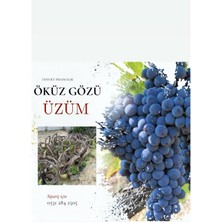 Tüplü Öküzgözü Üzüm Fidanı 4 Yaş 5-7