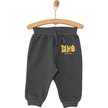 Hellobaby Basic Az Şardonlu Eşofman Alt Erkek Bebek