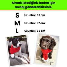 Havhav Havrika Yıllar Köpek Oyuncak Seti Köpek Atkısı S M L Hışırtılı Peluş Kurabiye Vikvikli Peluş Şeker