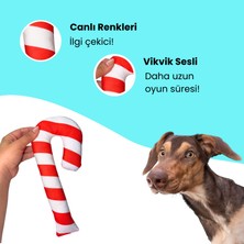 Havhav Havrika Yıllar Köpek Oyuncak Seti Köpek Atkısı S M L Hışırtılı Peluş Kurabiye Vikvikli Peluş Şeker