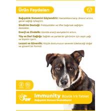 Dr. Paw - Immunity Plus Büyük Irk Köpekler için Zindelik ve Organ Sağlığı Destekleyici Çiğnenebilir Tablet(60 adet, 120 gr)