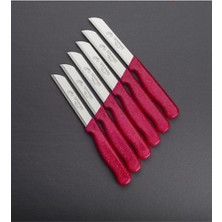 Tırtıklı Simli Pembe Store Meyve ve Sebze Bıcagı