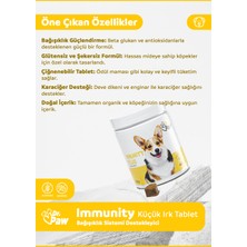 Dr. Paw Immunity Plus Küçük Irk Köpekler için Glütensiz ve Şekersiz Immün ve Enerji Desteği (60 Tablet, 90 Gr)