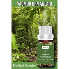 Esansiyel Koku Yağı - Lavanta ve Yağmur Ormanları 2'li Set