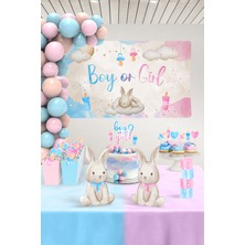Cinsiyet Partisi Seti - Little Bunny - Maxi