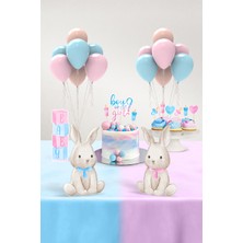 Cinsiyet Partisi Seti - Little Bunny - Mini