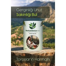 Herbaldetox StresMolası Detox Bitki Çayı 200GR