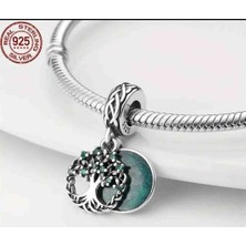 Gümüş Charm