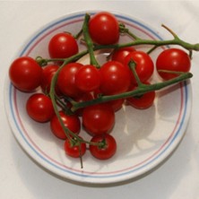 Ayc Botanik 20 Adet Velvet Red Domates Tohumu