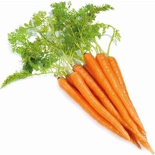 Ayc Botanik Havuç Tohumu 200 Adet Tohum Nantes Etli Erkenci Havuç