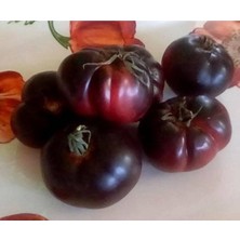 Ayc Botanik 20 Adet Black Krim Domates Tohumu