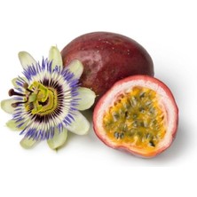 Ayc Botanik Tropikal Tutku Meyvesi Tohumu 3 Adet Tohum Passion Fruit