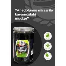 Mesir-i Şifa Dut Pekmezi Organik Dut Pekmezi 800 gr