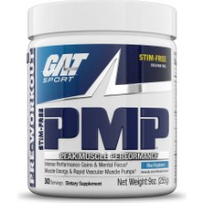 Gat Pmp Without Stm Peak Muscle Performance Agmatine Sulfate Nox Pump Preworkout