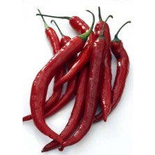 10 Adet Uzun Kırmızı Cayanne Biber Tohumu