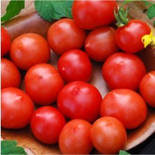 Riesentraube Domates Tohumu